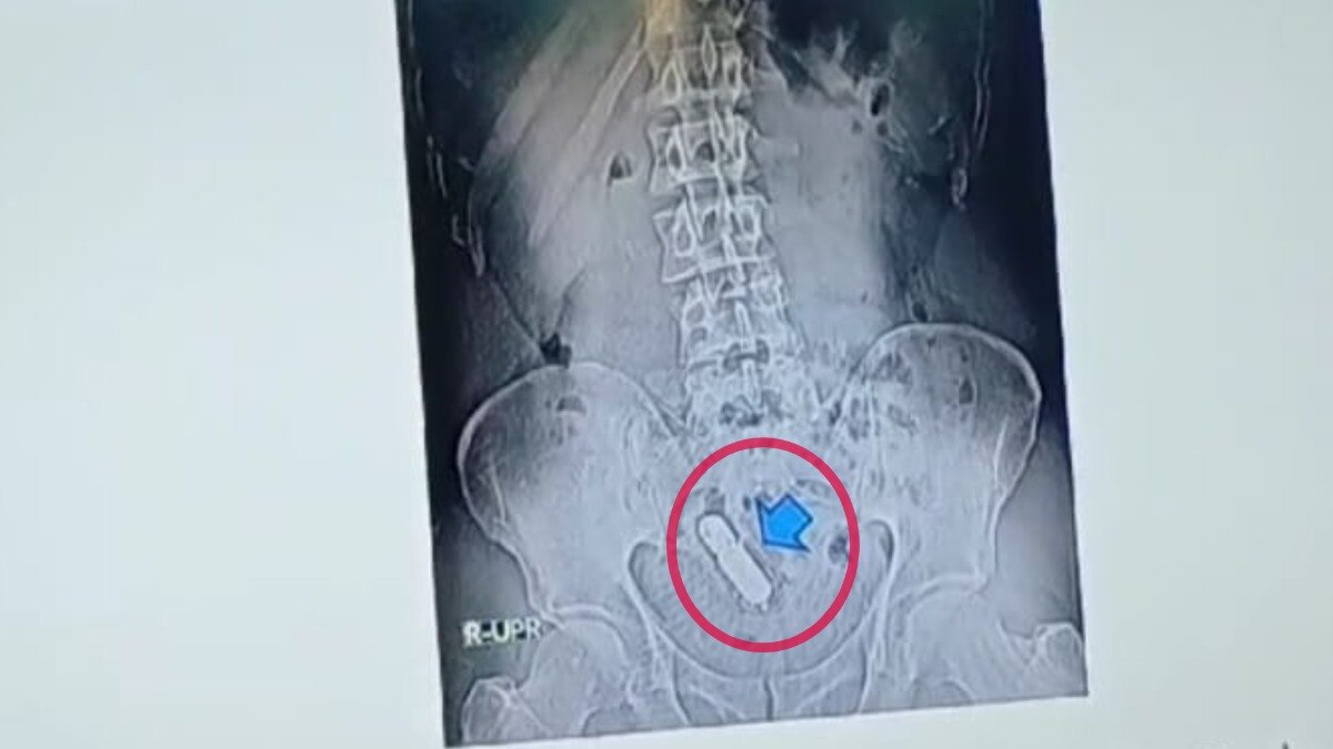 Ghaziabad, Ghaziabad News, Ghaziabad Hindi News, UP News, UP Viral News, Viral News, UP Viral, UP Hindi News, News in hindi