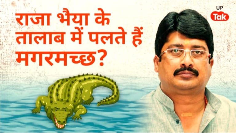 अब भी लोगों के जुबां पर राजा भैया के तालाब की कहानी, अब जानें मगरमच्छ पालने के किस्से का सच UP Tak