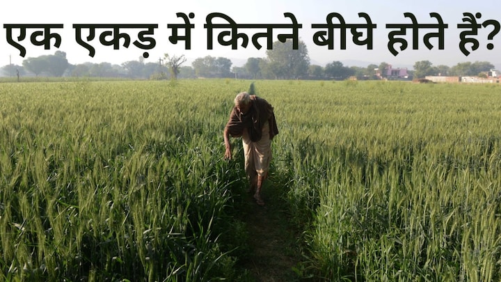 यूपी में एक एकड़ में कितना बीघा होता है? दूसरे राज्यों से कितना है फर्क, पूरा हिसाब जानिए bigha to acre converter, how to convert bigha to acre, how to convert bigha to ekad, ekad se beegha kaise nikalen, uttar pradesh, punjab, bengal, UP News