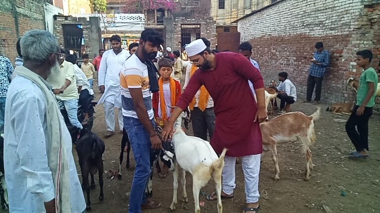 UP में बकरीद में की गई ये गलती पड़ेगी भारी, कुर्बानी से पहले जारी इन निर्देशों को जानिए Eid-Ul-Adha