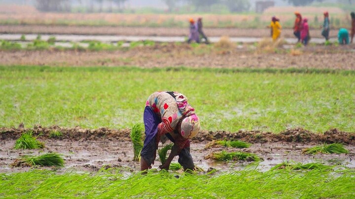 यूपी में एक बीघा में कितना स्क्वायर फीट होता है? दूसरे राज्यों से कितना है फर्क, पूरा हिसाब जानिए Square Feet to bigha converter, how to convert Square Feet to bigha, how to convert Square Feet to bigha, ekad se beegha kaise nikalen, uttar pradesh, punjab, bengal, UP News