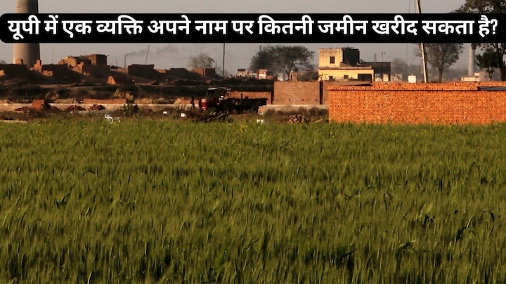 यूपी में एक व्यक्ति अपने नाम से कितनी जमीन खरीद सकता है? लैंड डील करने से पहले जान लें नियम Land News, UP Land News