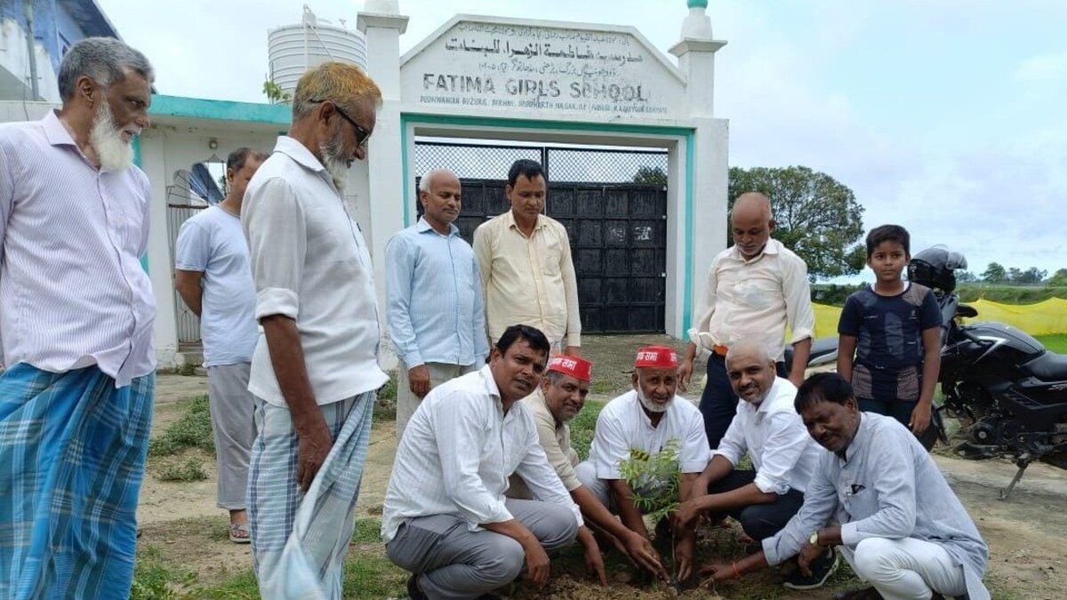 खास ढंग से मनाया गया अखिलेश यादव का जन्मदिन सप्ताह, पूरे वीक लगाए गए PDA पेड़! Akhilesh PDA trees