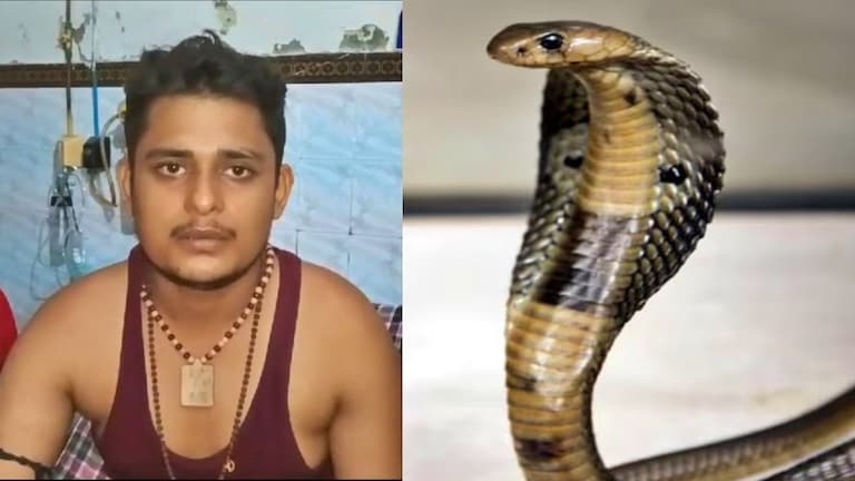 फतेहपुर : इस शख्स के पीछे ही पड़ गया सांप…30 दिन में छठवीं बार डसा, फिर युवक ने बताई हैरान करने वाली कहानी फतेहपुर में सांप का शिकार युवक