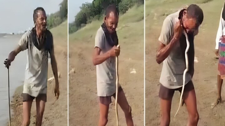 फतेहपुर : नदी से निकाल कर जिंदा सांप को खाते दिखा शख्स, पहले करता था डकैती अब ऐसा वीडियो हुआ वायरल UP News