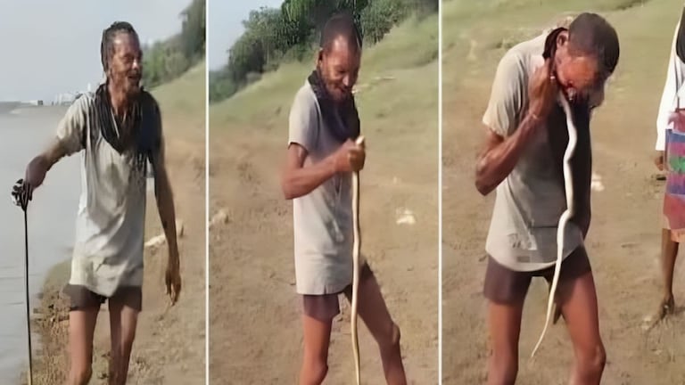 फतेहपुर : नदी से निकाल कर जिंदा सांप को खाते दिखा शख्स, पहले करता था डकैती अब ऐसा वीडियो हुआ वायरल UP News
