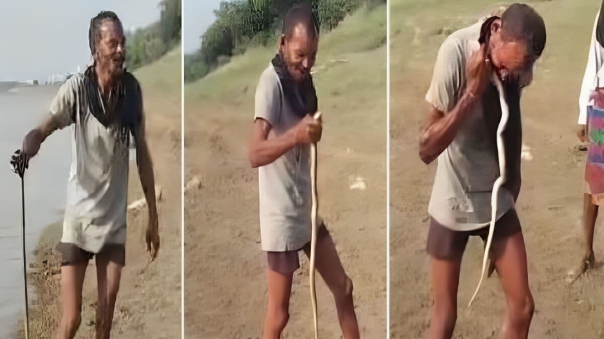 कौन है नदी से जिंदा सांप निकाल खाने वाला दस्यु गंगा प्रसाद केवट? इसका इतिहास जान हैरान होंगे UP News