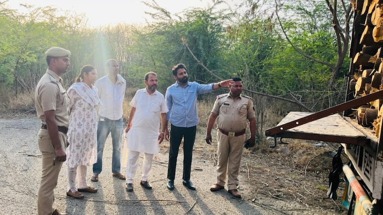 नोएडा में बिना अनुमति के काट डाले गए हजारों पेड़, 1200 बीघा जमीन सील, रियल एस्टेट कंपनी पर केस दर्ज noida news