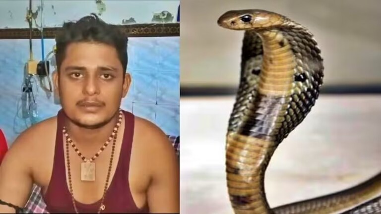 34 दिनों में 6 बार काट चुका है सांप, शख्स का दावा- सपने में सर्प ने अब ये बोला, सहमा पूरा परिवार UP Tak