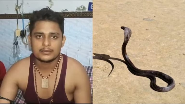 सांप की युवक से दुश्मनी क्या है? 40 दिनों में 7 बार काटा और सपने में धमकाया, रहस्यमय है मामला Fatehpur News