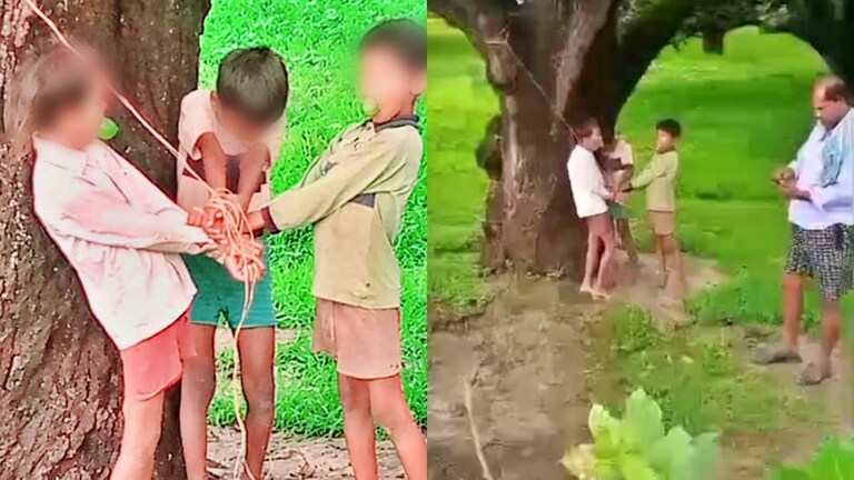 महराजगंज में 3 बच्चे बगीचे से ले रहे थे आम, रखवाले को आया गुस्सा और उसने कर दिया ये कांड Maharajganj News