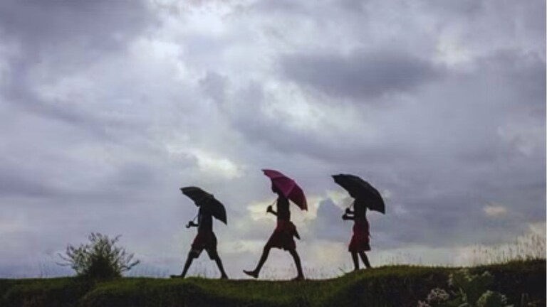 UP Weather: लखनऊ, कानपुर, अयोध्या…कई जिलों में बारिश का अलर्ट, IMD ने बताया UP के मौसम का हाल UP Weather