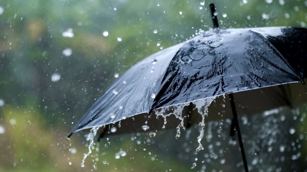 UP Weather: मथुरा, आगरा, कानपुर…जन्माष्टमी के दिन इन जिलों में IMD ने दी भारी बारिश की चेतावनी UP Weather Updates