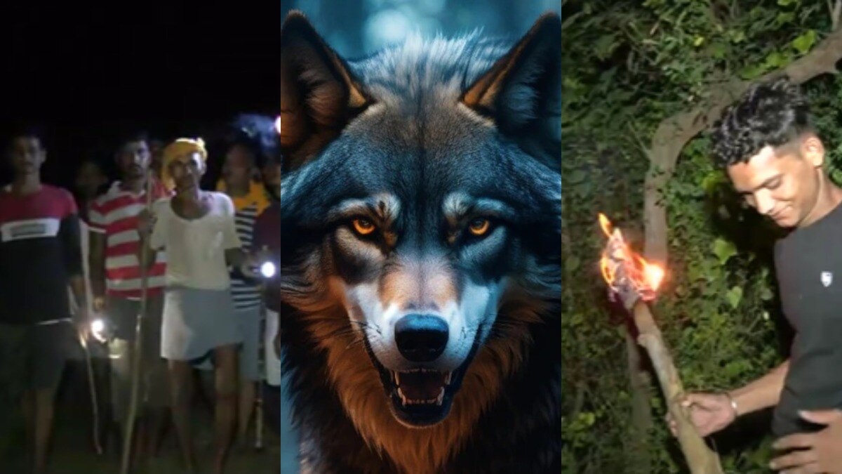 Bahraich Wolves News