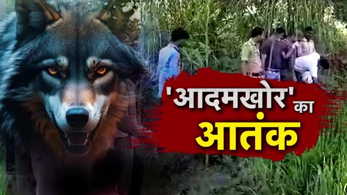 बहराइच में 7 साल के राहुल को भेड़िए ने बनाया था पहला शिकार, जान बची पर अंदर बैठ गया ऐसा डर! Bahraich Wolf Attack