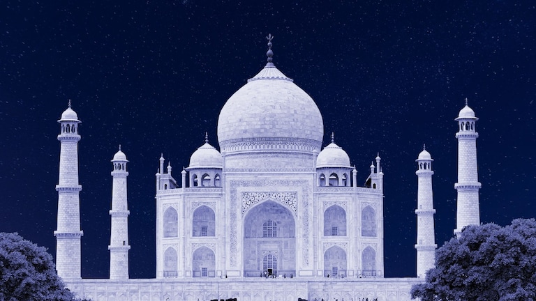 गुंबद से टपक रहा पानी, उग जा रहा पीपल, कोई कर रहा पेशाब... शाहजहां के ताजमहल संग ये क्या हो रहा Tajmahal News