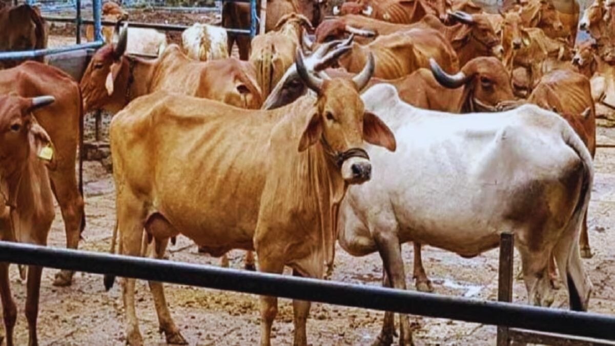 सांकेतिक तस्वीर.