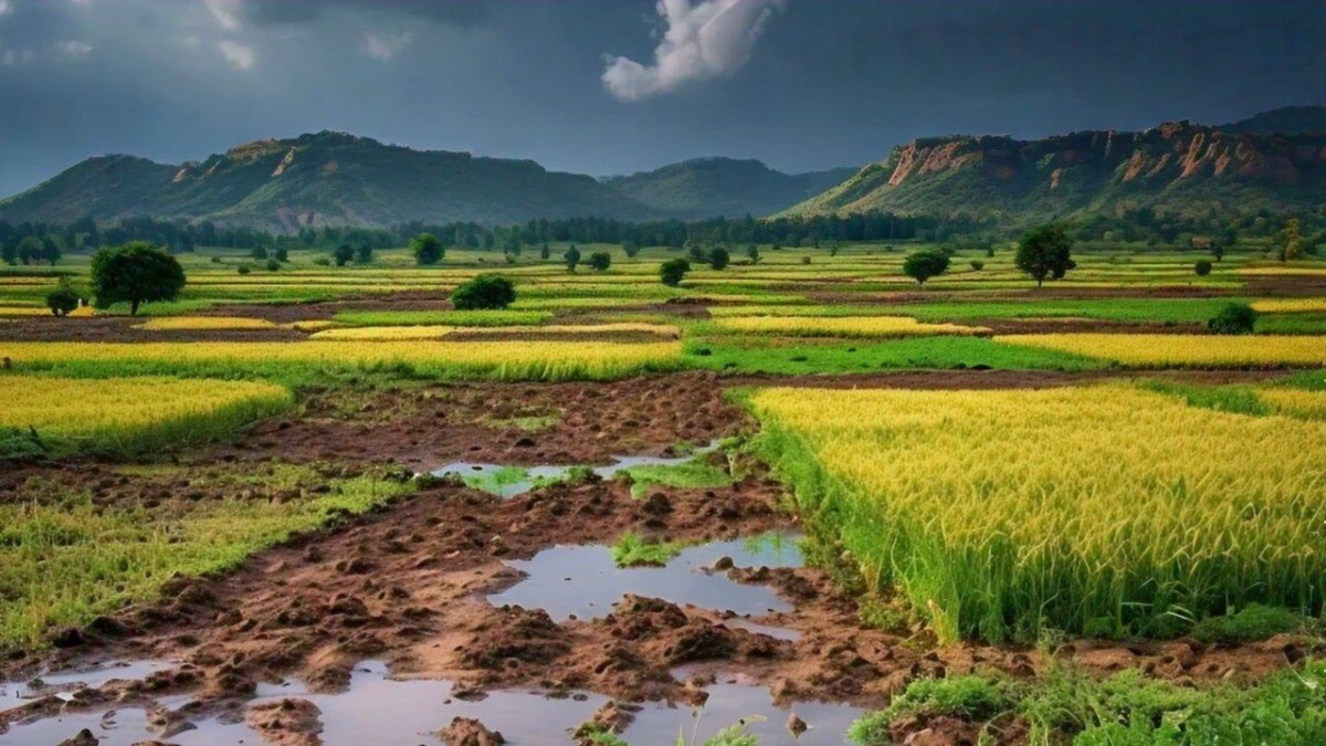 UP Weather Update: पश्चिमी यूपी से हुई मॉनसून की वापसी! IMD ने बताया अब कैसा रहेगा मौसम South west monsoon withdrawal major parts of west UP