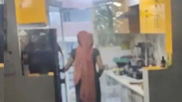 Ghaziabad Maid Viral Video