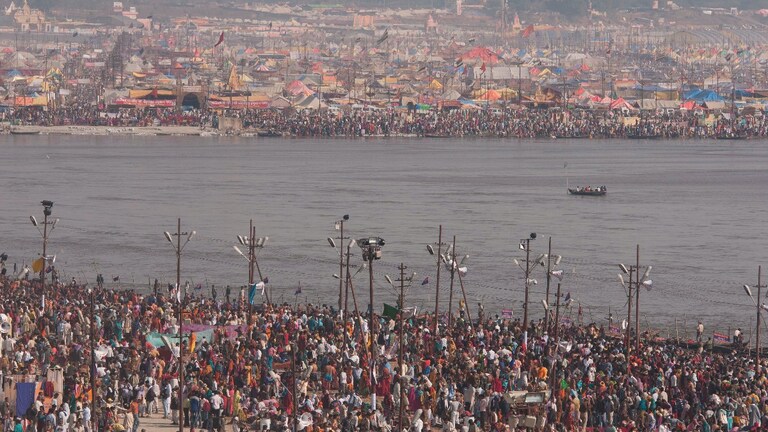 Maha Kumbh Mela 2025: प्रयागराज के महाकुंभ में बनाया जाएगा जीरो एनिमल जोन’, ऐसे होगा मुमकिन UP Tak