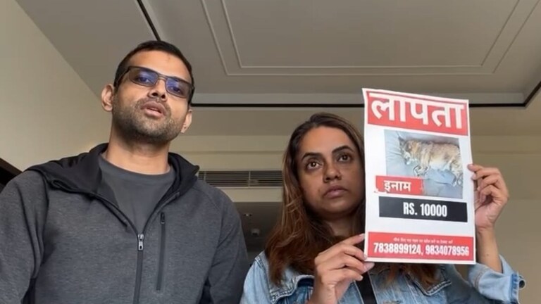 Sambhal News: ताजमहल देखने आए थे दंपति, होटल से पालतू फीमेल डॉग हुई लापता, खोजकर लाने वाले को मिलेंगे ₹10000 Agra News