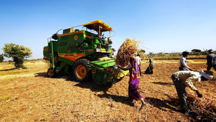उत्तर प्रदेश में एक बीघा में कितने गज होते हैं? जमीन की माप को ऑनलाइन कन्वर्ट करने का तरीका भी जान लीजिए Farm file pic.