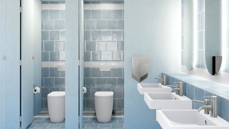 pink toilet for womens