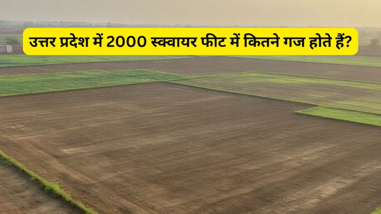उत्तर प्रदेश में 2000 स्क्वायर फीट में कितने गज होते हैं? आसान तरीके से समझें पूरी गणित UP News