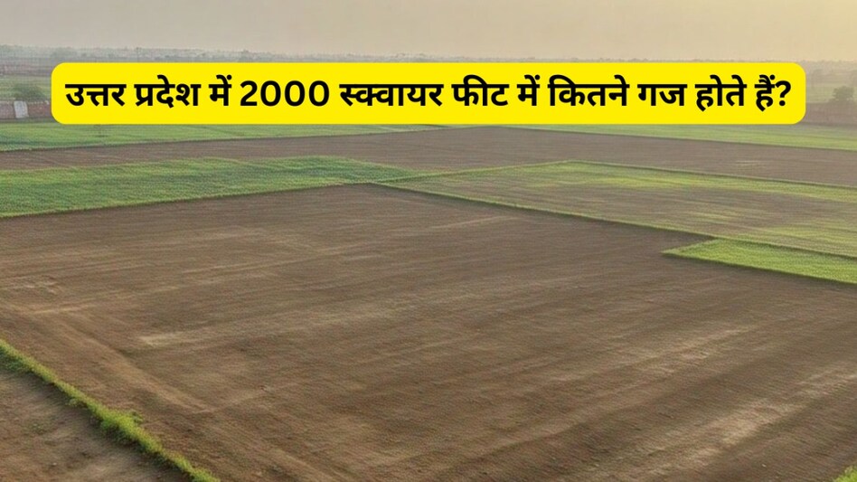 उत्तर प्रदेश में 2000 स्क्वायर फीट में कितने गज होते हैं? आसान तरीके से समझें पूरी गणित UP News