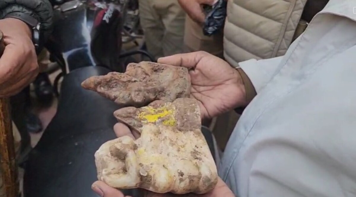 Sambhal Mandir News: मंदिर के पास कुएं की खुदाई के दौरान निकली मूर्तियां, लोगों ने शुरु किया पूजा-पाठ - up sambhal news broken idol found during digging well -