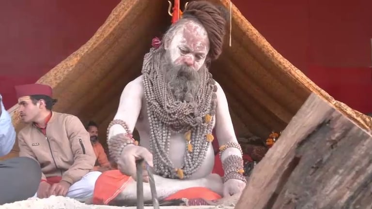 महाकुंभ के 3 अमृत स्नान तो हो गए, अब नागा साधु क्या करने की तैयारी में हैं? उनका पूरा गुप्त प्लान जान लीजिए Mahakumbh Naga Sadhu