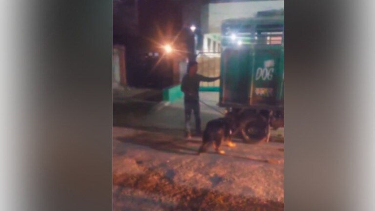 जिस जर्मन शेफर्ड ने दादी को मारा, उसी को वापस पाने पोता धीरू त्रिवेदी आगे आया, बोला- घर में कोई खाना नहीं खा रहा Kanpur, Kanpur News, Kanpur Crime, Kanpur Police, Kanpur Crime News, UP News, कानपुर, कानपुर न्यूज, कानपुर पुलिस, कानपुर, जर्मन शेफर्ड, यूपी न्यूज