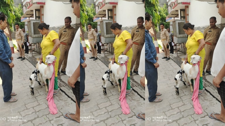 2 रंग का था मेमना, उसे अपना बताने लगी दो बकरियां, फिर कानपुर पुलिस ने गजब तरीके से विवाद सुलझाया Kanpur, Kanpur News, Kanpur Viral News, Kanpur Police, Kanpur Hindi News, UP News, UP Viral News, UP Hindi News, UP Tak, कानपुुर, कानपुुर न्यूज, कानपुुर वायरल न्यूज, कानपुुर पुलिस, यूपी तक, यूपी न्यूज, यूपी वायरल न्यूज