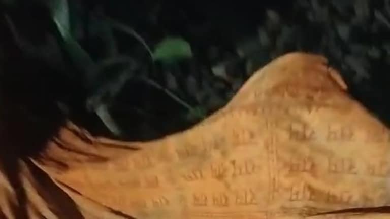 लखनऊ में रेलवे ट्रैक पर किसी ने रखी 6 इंच मोटी लकड़ी, उसपर लिपटे कपड़े पर लिखा था- 'जय श्री राम', किसने किया ये? Lucknow Crime News