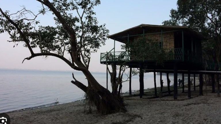 सुकून चाहिए तो चलिए पीलीभीत के चूका बीच...ये है यूपी का छिपा हुआ ट्रैवल खजाना, यहां मिलेगा कम बजट में ज्यादा मजा Chuka Beach