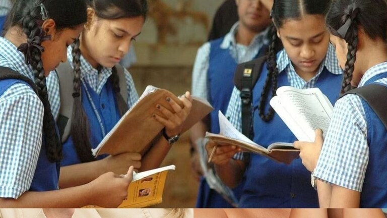 IAF की पाकिस्तान में एयर स्ट्राइक के बाद क्या आज भारत में बंद रहेंगे स्कूल? जानें इस बड़े सवाल का जवाब Representative Image