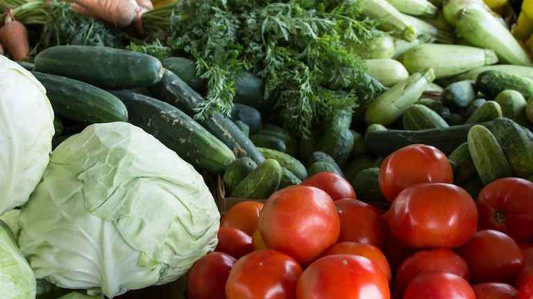 पाकिस्तान के साथ जंग के हालात के बीच सब्जी, दालों की कीमत को लेकर आई बड़ी जानकारी हरियाणा में महंगी हुईं सब्जियां