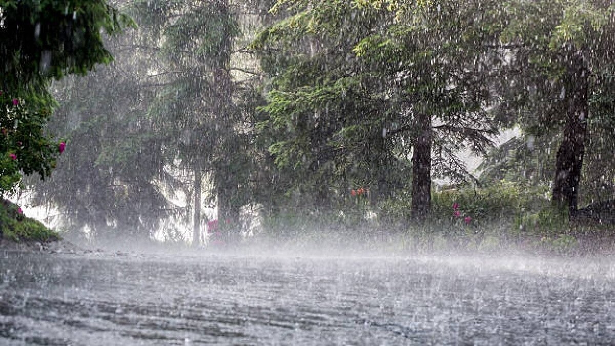 UP Weather Update: 60 KM/घंटे की रफ्तार से तेज हवा, आंधी-तूफान…यूपी में 3 जून को मौसम में बड़ा बदलाव UP Weather Update