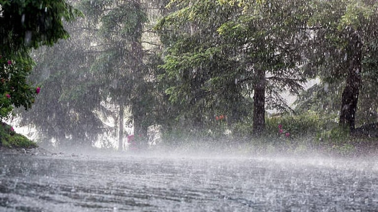 UP Weather Update: 60 KM/घंटे की रफ्तार से तेज हवा, आंधी-तूफान…यूपी में 3 जून को मौसम में बड़ा बदलाव UP Weather Update