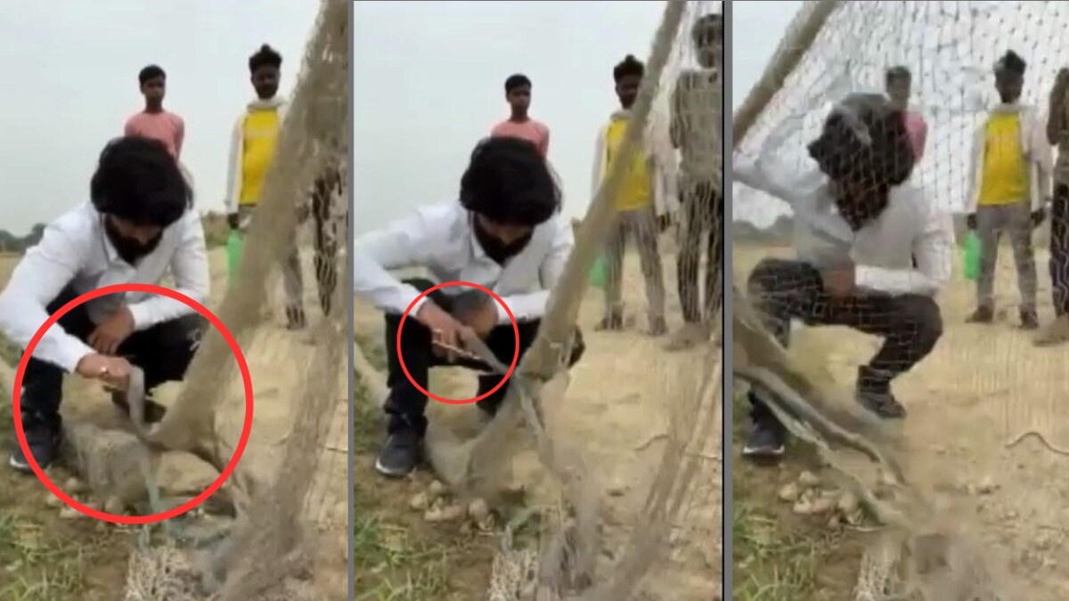 स्नैक रेस्क्यू करने वाले मशहूर यूट्यूबर मुरली हौसला को देखिए कोबरा ने कैसे डंसा, ये सीन देख रीढ़ में सिहरन दौड़ जाएगी Snake rescuer Murli Haushala was bitten by a cobra