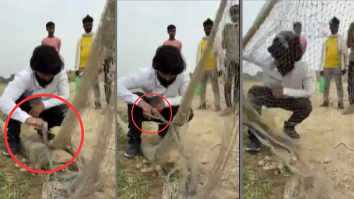 स्नैक रेस्क्यू करने वाले मशहूर यूट्यूबर मुरली हौसला को देखिए कोबरा ने कैसे डंसा, ये सीन देख रीढ़ में सिहरन दौड़ जाएगी Snake rescuer Murli Haushala was bitten by a cobra
