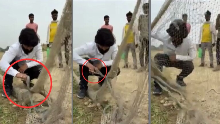 स्नैक रेस्क्यू करने वाले मशहूर यूट्यूबर मुरली हौसला को देखिए कोबरा ने कैसे डंसा, ये सीन देख रीढ़ में सिहरन दौड़ जाएगी Snake rescuer Murli Haushala was bitten by a cobra