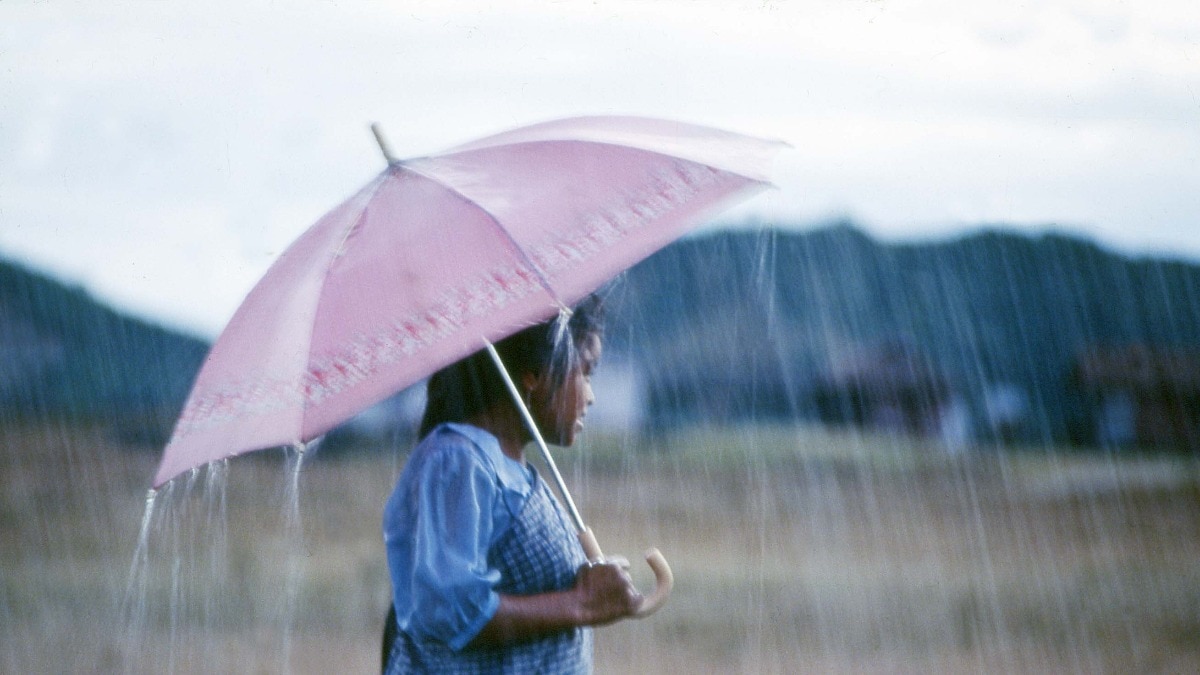 UP Weather Update