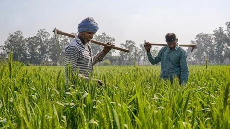 PM Kisan 20th Installment updates: पीएम किसान निधि की 20वीं किस्त इस तारीख को खाते में आएगी, पूरी स्कीम समझ लीजिए UP Tak