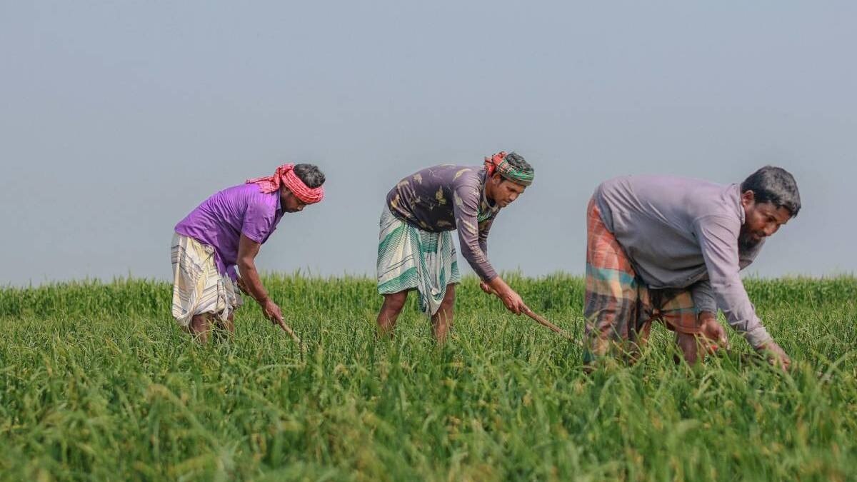 UP government agricultural subsidy