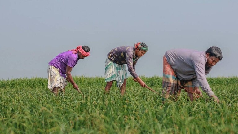 UP में 8 अगस्त को किसानों के लिए होगी ई-लॉटरी, सब्सिडी के जरिए मिलेंगे खेती के ये आधुनिक उपकरण UP government agricultural subsidy