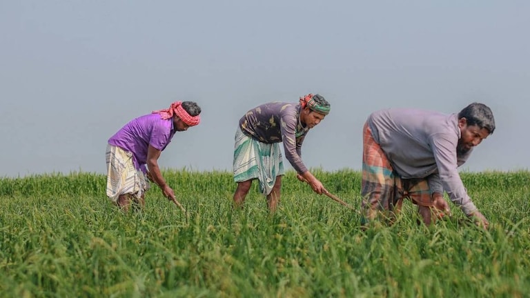 UP में 8 अगस्त को किसानों के लिए होगी ई-लॉटरी, सब्सिडी के जरिए मिलेंगे खेती के ये आधुनिक उपकरण UP government agricultural subsidy