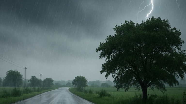 UP Weather Update: यूपी में 10 अगस्त को मॉनसून का डेंजर... इन 30+ जिलों में होगी डरावनी बारिश, 40+ में बिजली गिरने की चेतावनी जारी UP Monsoon News, UP Monsoon Update, UP Weather Update, UP Weather, Today Weather, UP IMD Update, IMD Update, UP Weather news, Rain in up, यूपी का मौसम, यूपी मौसम, यूपी में बारिश, आईएमडी अपडेट, मॉनसून, मानसून, यूपी न्यूज