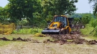 प्रयागराज में तेंदुए को लेकर शुरू हुआ बुलडोजर एक्शन, क्या हो रहा है यहां? Prayagraj News