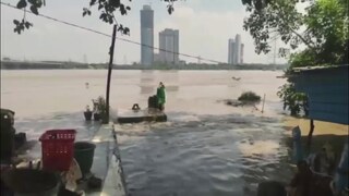 नोएडा में 5 बाढ़ चौकियां बनाई गईं... यमुना में पानी बढ़ने से इन इलाकों में बाढ़ का खतरा पैदा हुआ Noida flood, Yamuna river (Representative image).